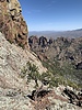 photo thumbnail #4