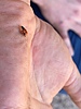 photo thumbnail #15