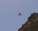 photo thumbnail #11
