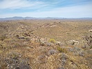 recent photo