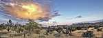 photo thumbnail #13