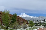 photo thumbnail #8