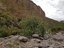 photo thumbnail #14
