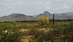 photo thumbnail #10