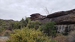 photo thumbnail #5