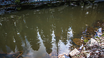 photo thumbnail #15