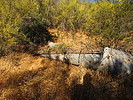 photo thumbnail #2
