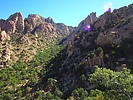 photo thumbnail #5