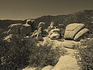 photo thumbnail #15