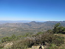 photo thumbnail #1
