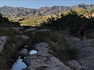 photo thumbnail #3