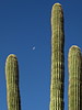 photo thumbnail #15