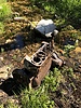 photo thumbnail #9