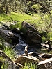 photo thumbnail #10