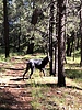 photo thumbnail #12