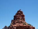 photo thumbnail #14