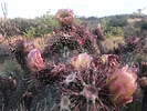 photo thumbnail #11