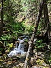 photo thumbnail #3
