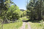 photo thumbnail #3