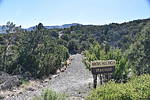 photo thumbnail #4