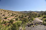 photo thumbnail #9