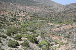 photo thumbnail #14