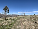 photo thumbnail #4