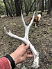 photo thumbnail #4