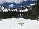 photo thumbnail #5