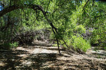 photo thumbnail #5