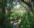 photo thumbnail #10