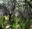 photo thumbnail #11