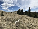 photo thumbnail #3