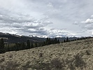photo thumbnail #4