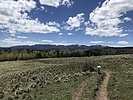 photo thumbnail #9
