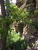 photo thumbnail #15