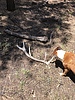 photo thumbnail #2