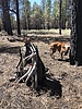 photo thumbnail #5