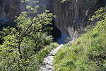 photo thumbnail #11