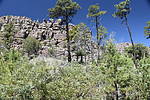 photo thumbnail #6