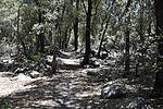 photo thumbnail #1