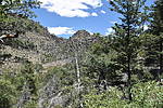 photo thumbnail #3