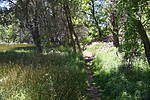 photo thumbnail #7