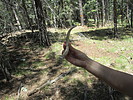 photo thumbnail #3