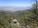 photo thumbnail #9