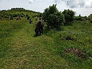 photo thumbnail #9