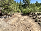 photo thumbnail #2