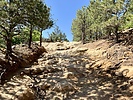 photo thumbnail #8