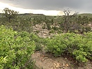 photo thumbnail #9