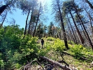 photo thumbnail #15